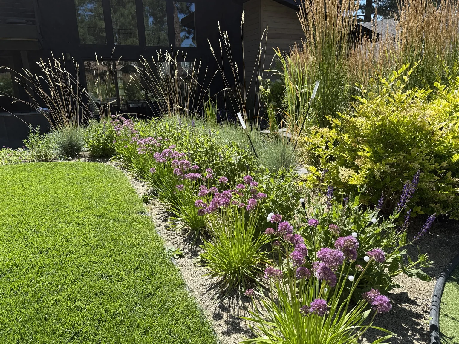 Perennial garden